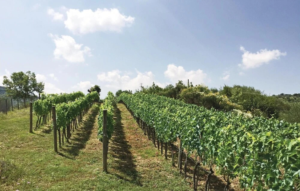 Podere Anteata