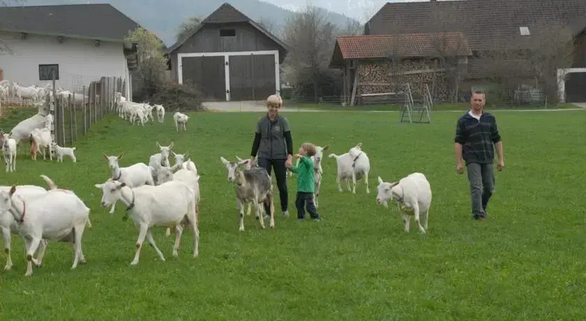 Urlaub am Ziegenhof "Adults only"