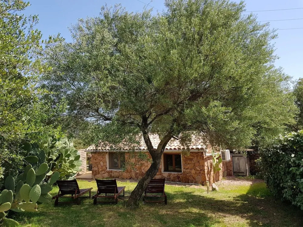 Chambre d`hotes Caseddu Di Poggiale