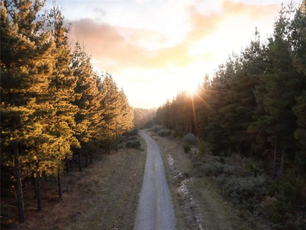 The Sebel Creswick Forest Resort