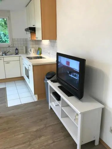Apartment Schön II