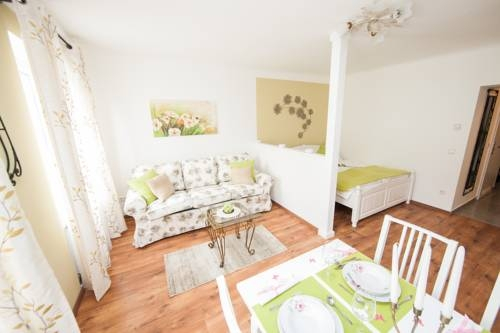 Traditional Apartments Vienna TAV - Entire