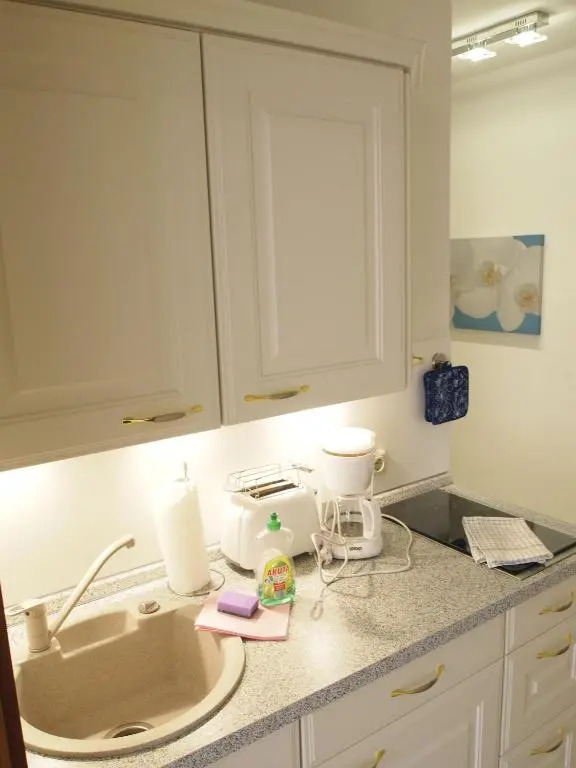 Apartment Schimmer