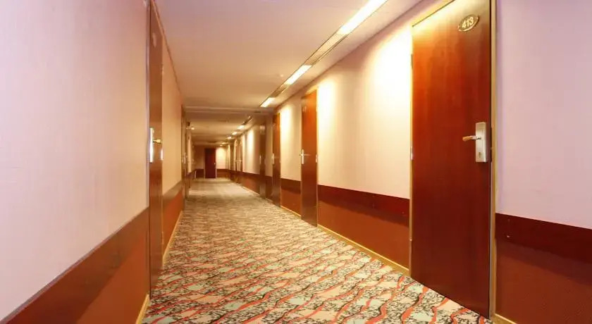 Hotel Musta Kissa