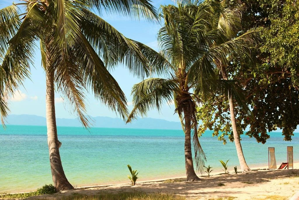Health Oasis Resort