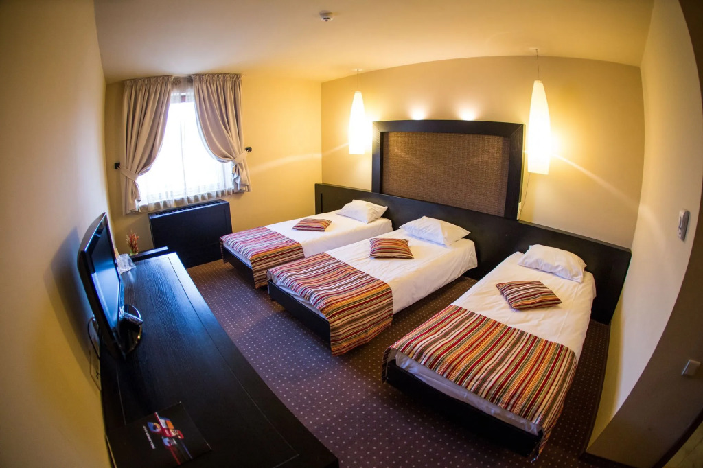 Hotel Arena