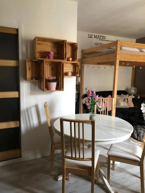 Magnifique Studio centre Troyes