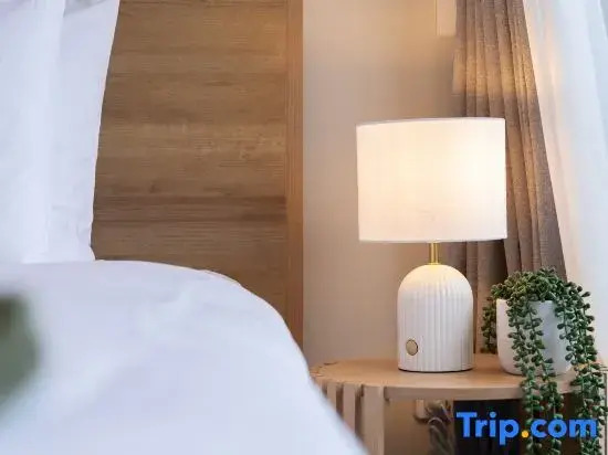 Palm Suites - Auckland