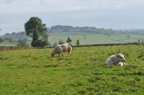 Escale en Charolais Brionnais
