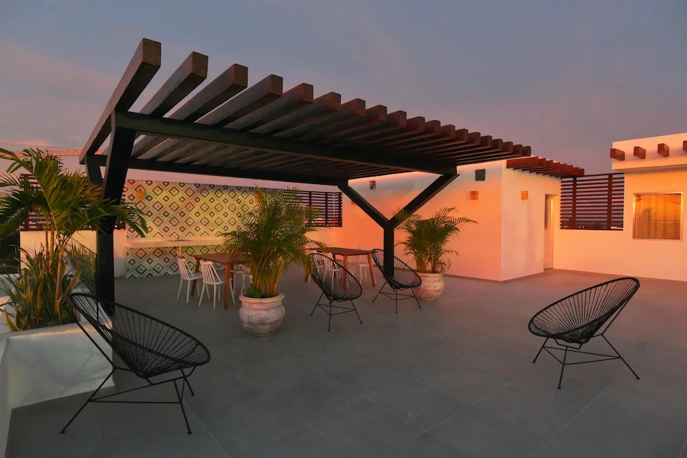 Solea 406