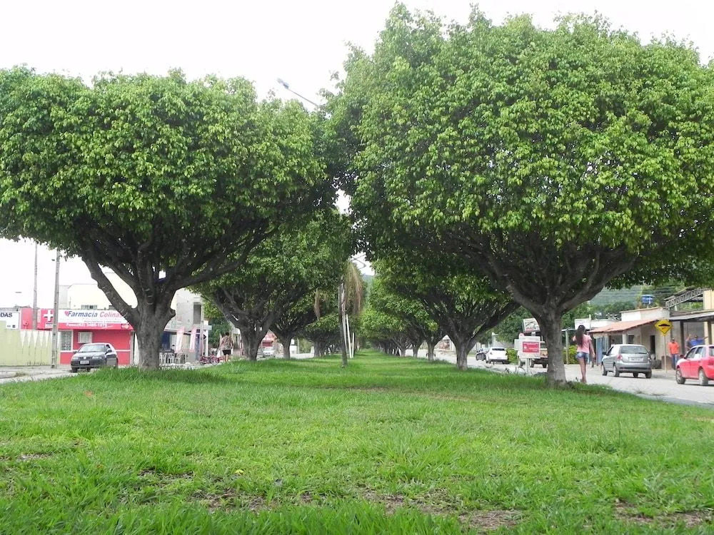 Planeta Hotel