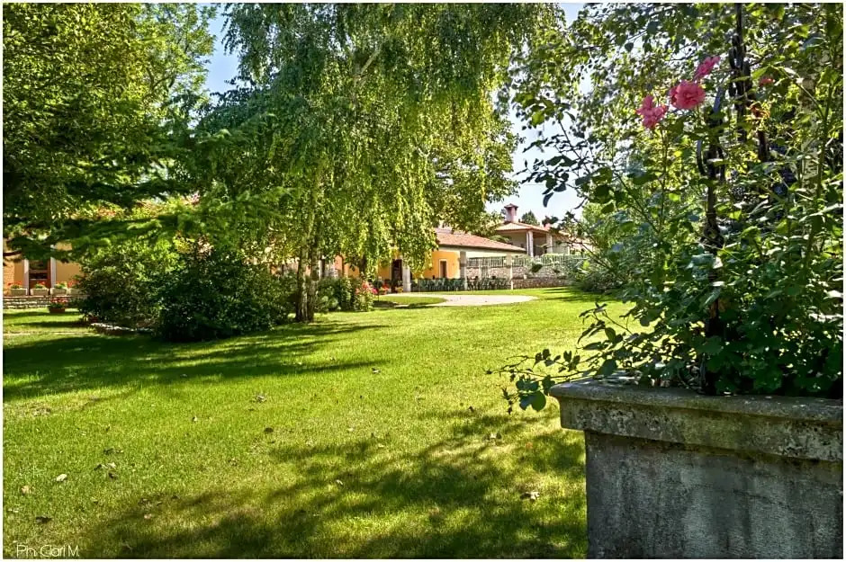 Hotel Pesek