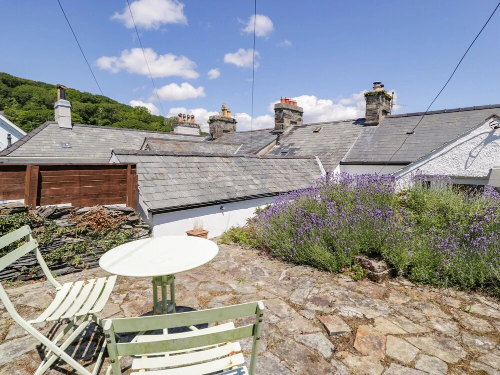 7 Ivy Terrace