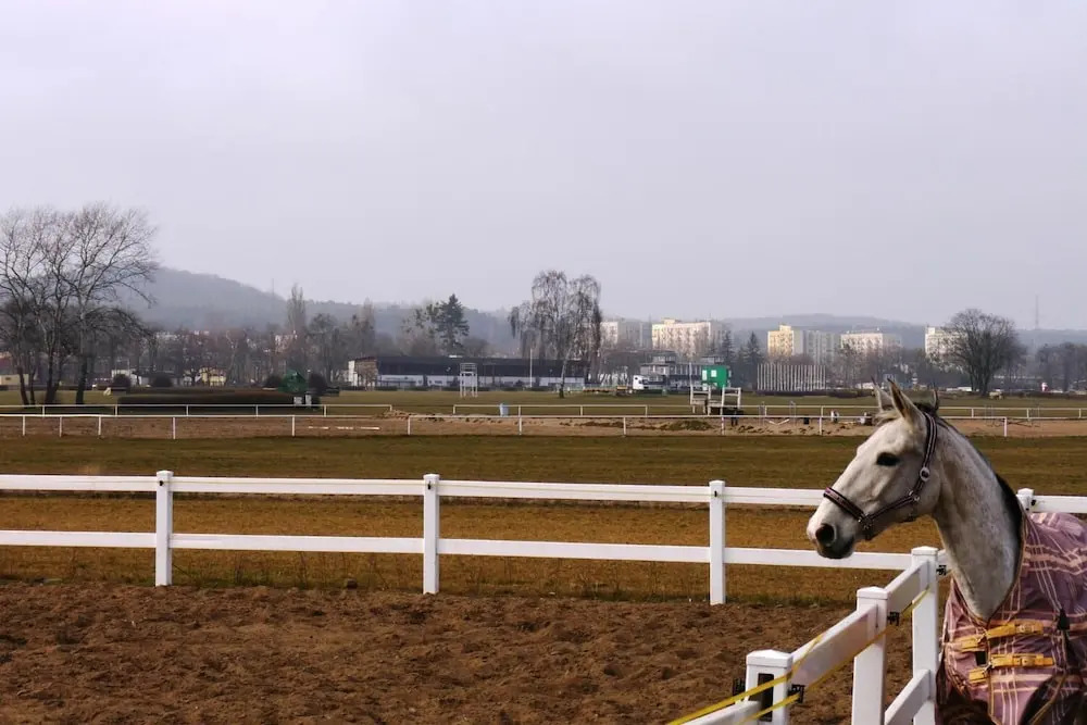 Aurora Sopockie Apartamenty