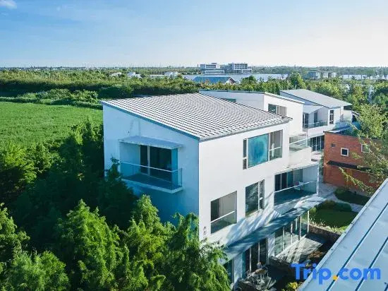 Stray Birds Resort