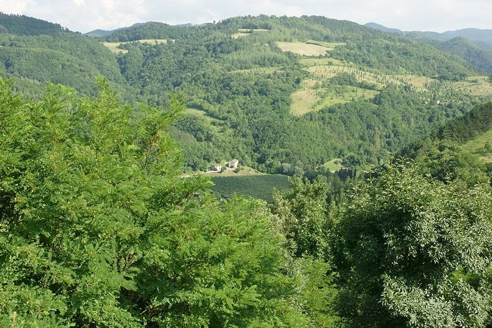 Luxury Holiday Homes La Collina