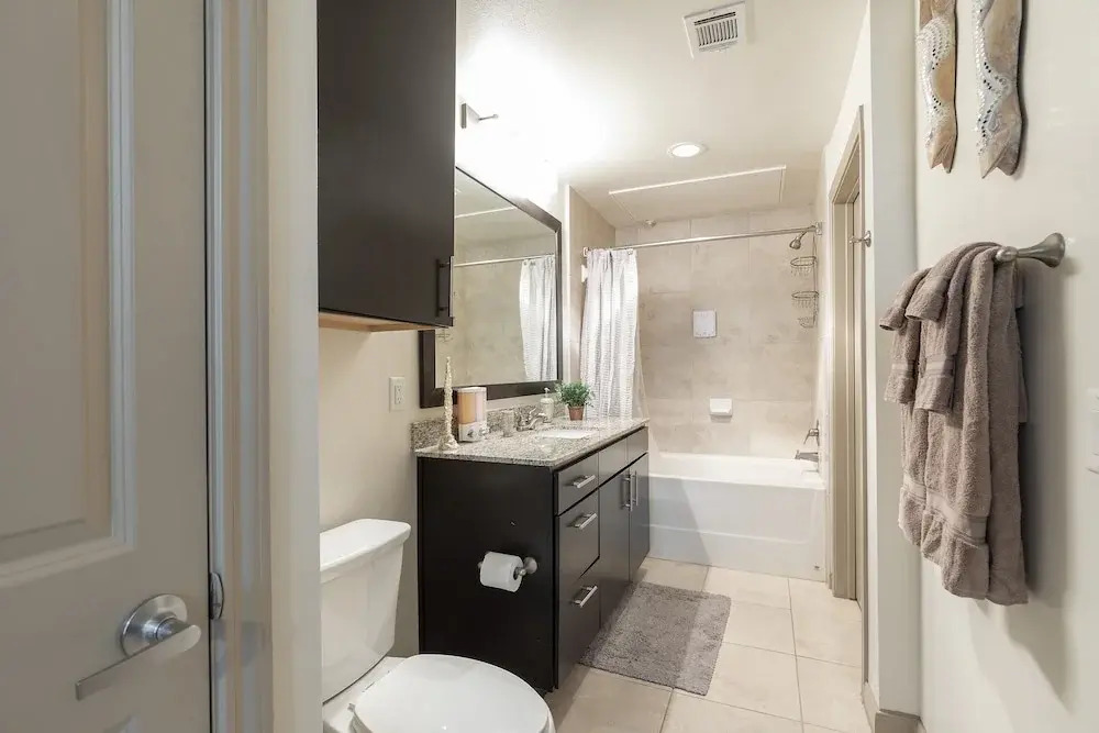 Luxurious & Cozy Midtown Texas Condo
