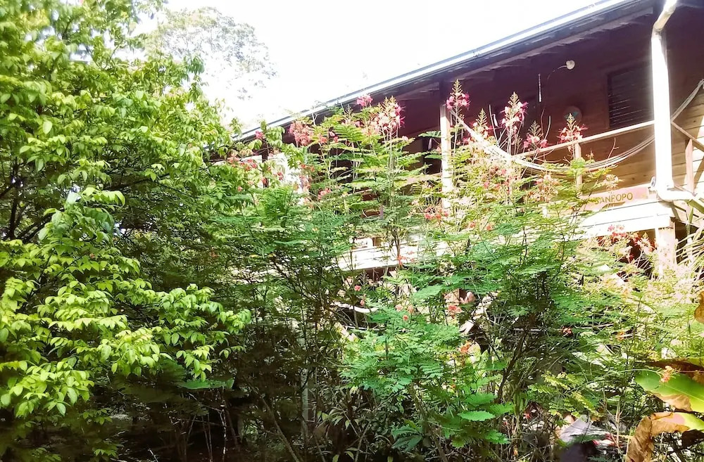 Treetop Cottage Escape in Tropical Garden Near San Ignacio