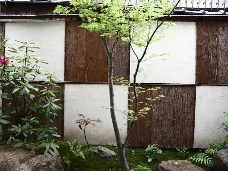 Guesthouse Odori