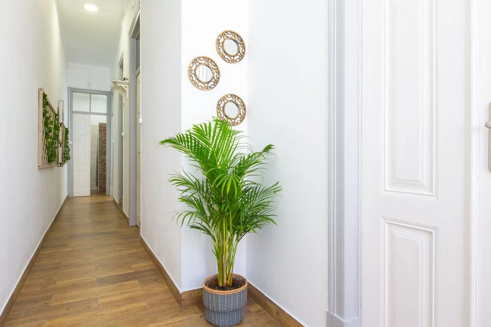 Faro Cosy Guesthouse