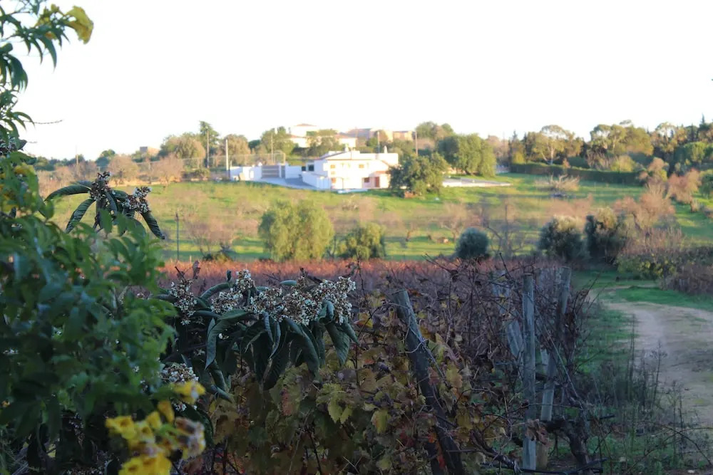 Wine House by Rental4all
