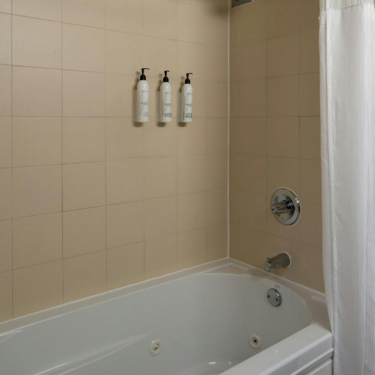Fairfield Inn and Suites Atlanta Airport South/Sullivan Road