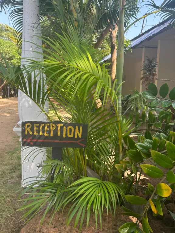 STARFISH beach bungalow