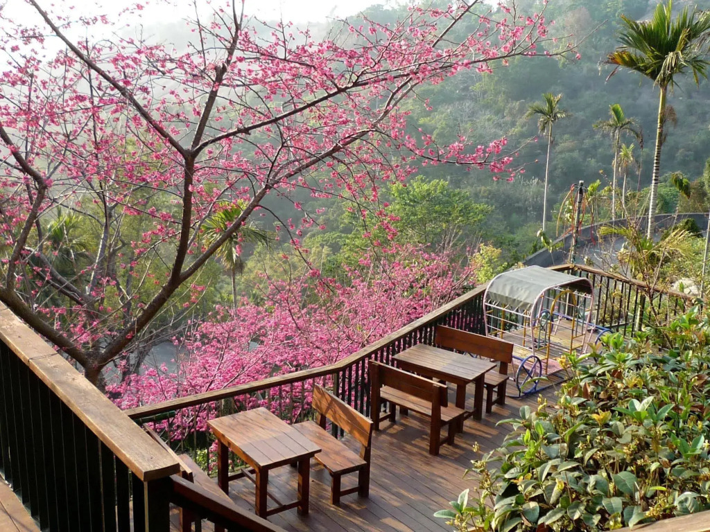 Meteor Garden B&B