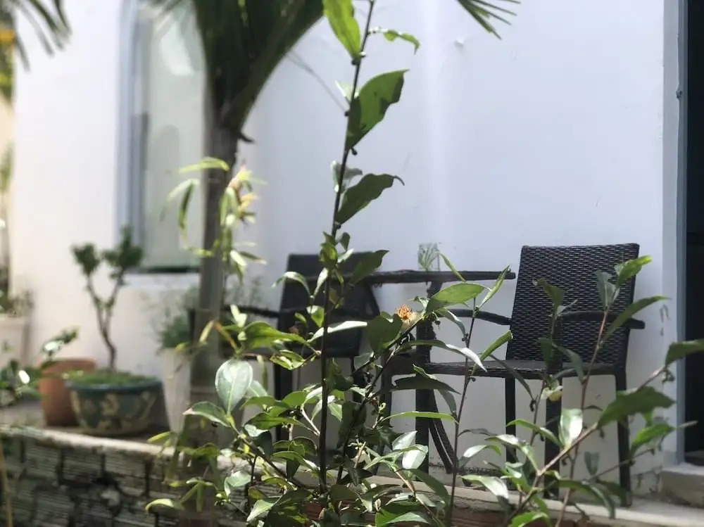 Dalat Blue House Homestay & Cafe