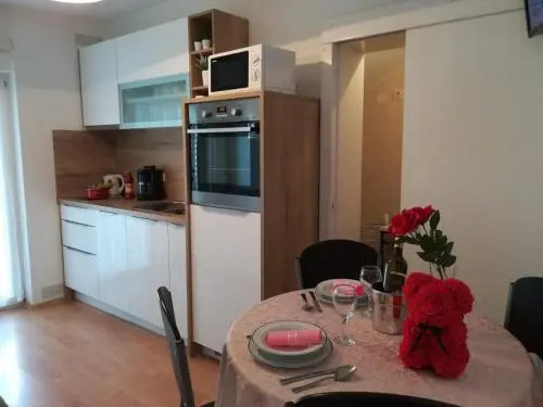 Apartment and room Hudoletnjak