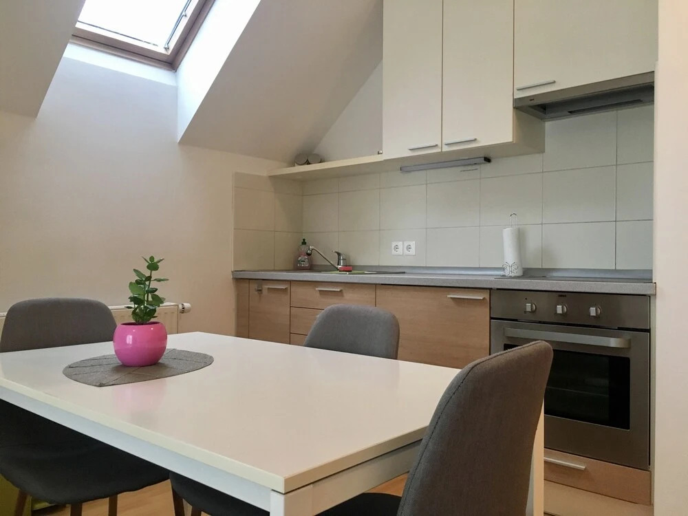 Apartment Muznik