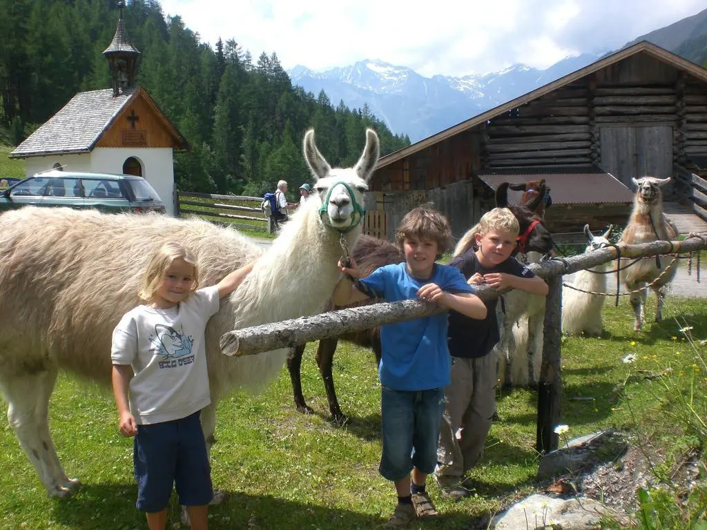Alpin Appart Reiter- & Alpakahof in Niederthai