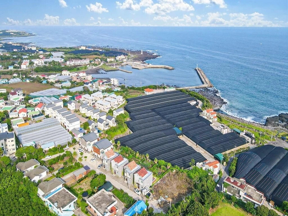 Jeju Sunflower Pension