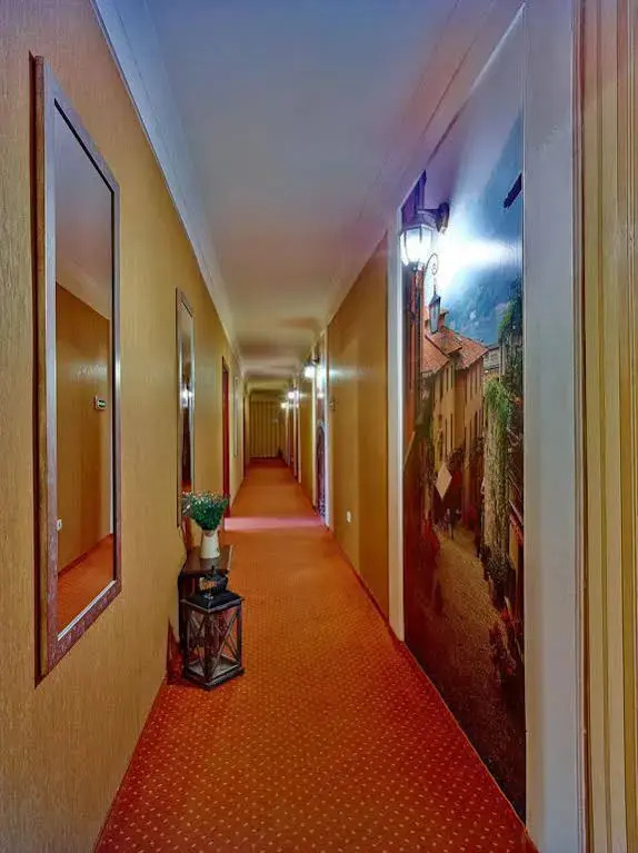 Hotel Wenecki