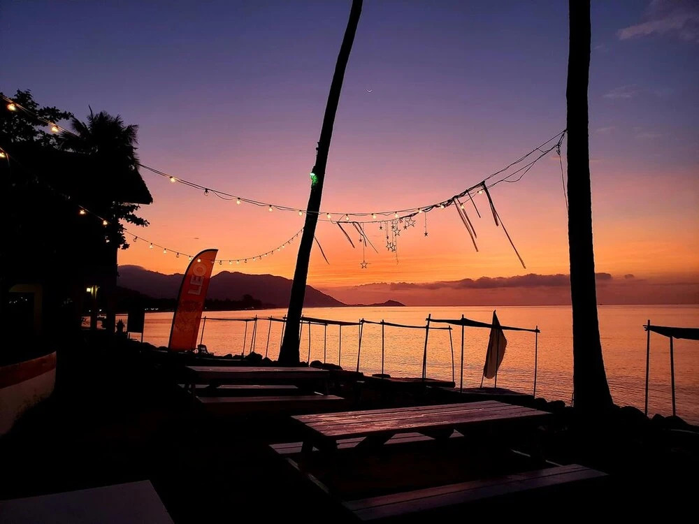 Asia Blue - Beach Hostel Hacienda - Bed in 6-bed Mixed Dormitory Room