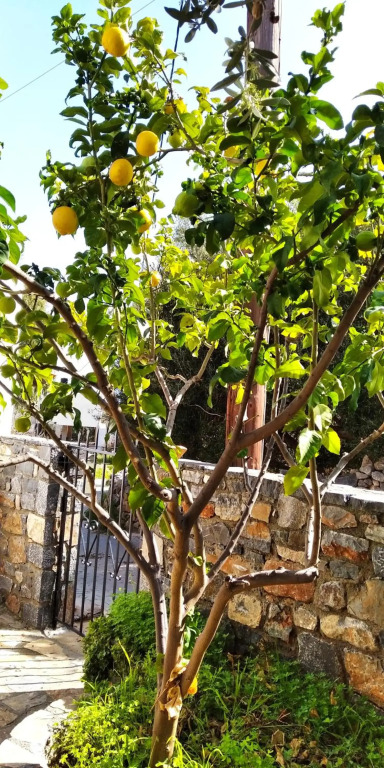 Traditional House in Elounda