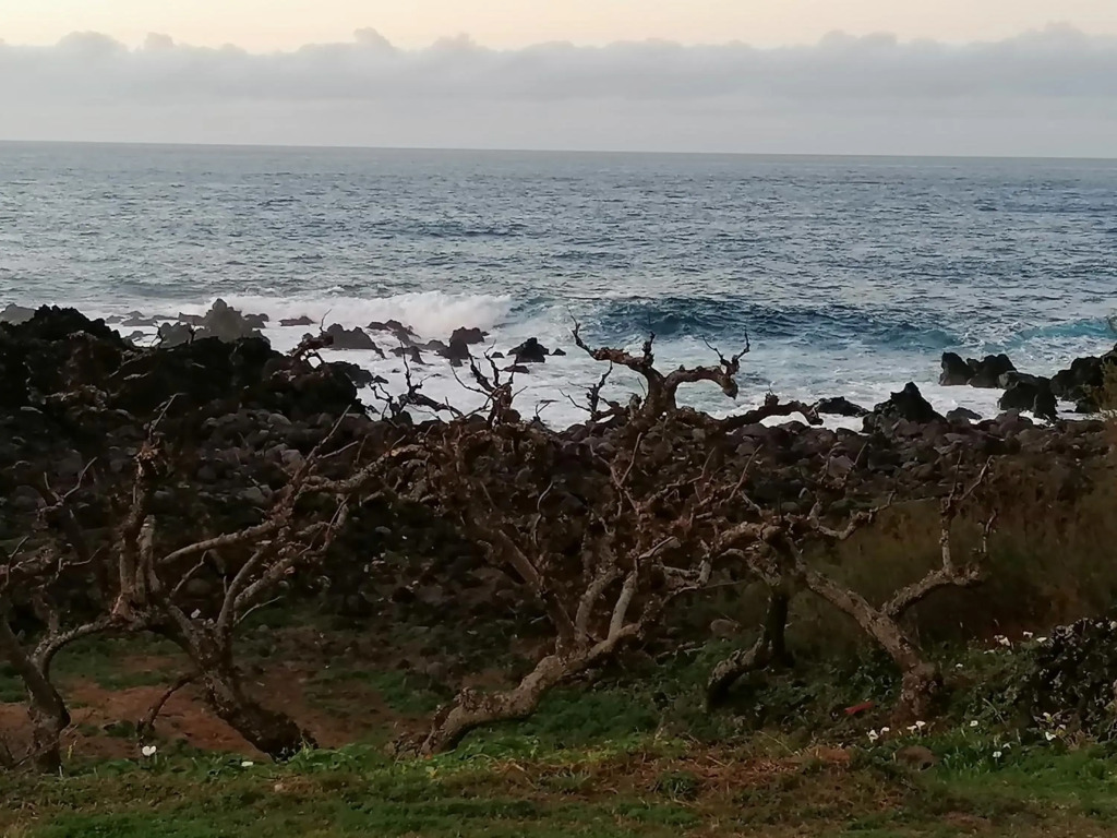 A Casa da Formosinha