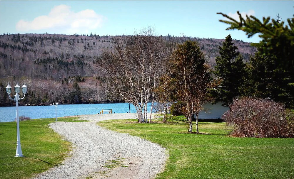 The Cove