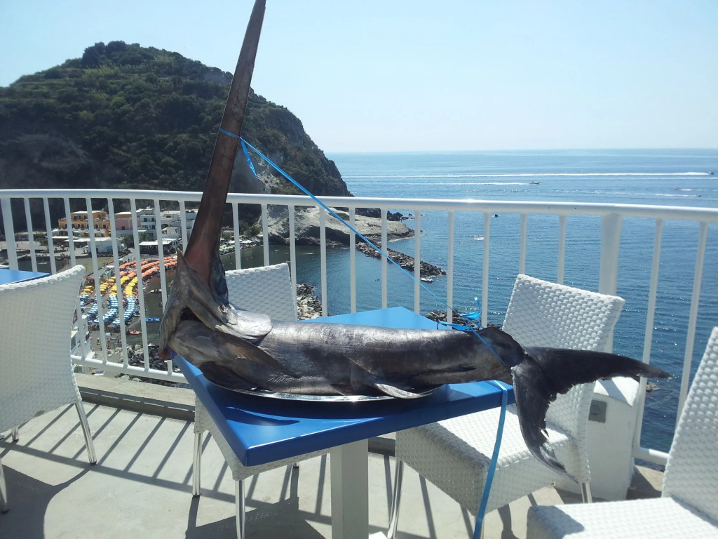 Hotel Villa Sirena