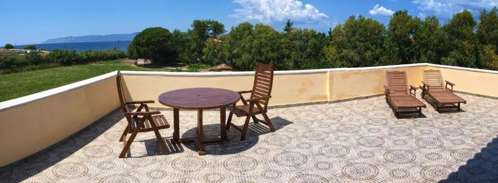Olive Grove