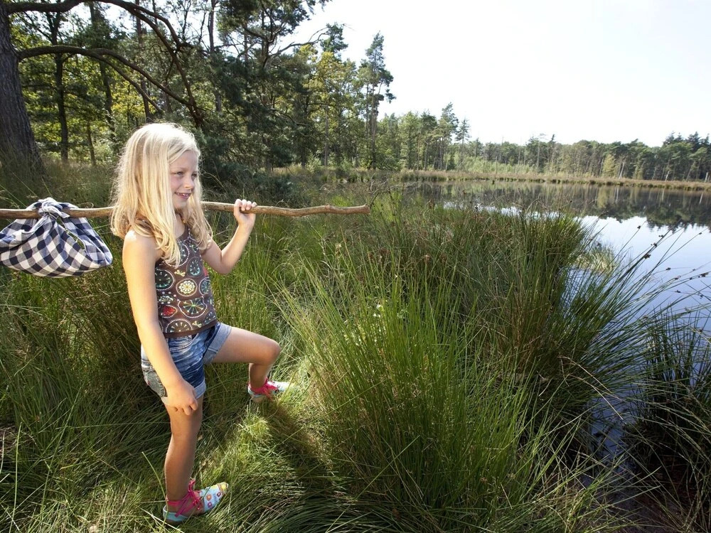 Forest Trails & Swimming Fun