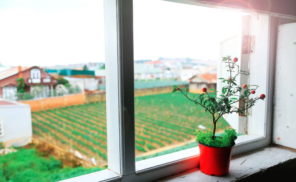 Hoai Huong Homestay