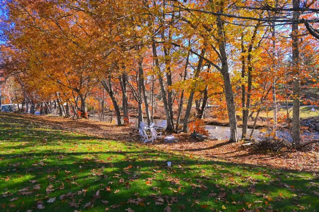The Lodge at Jackson Village