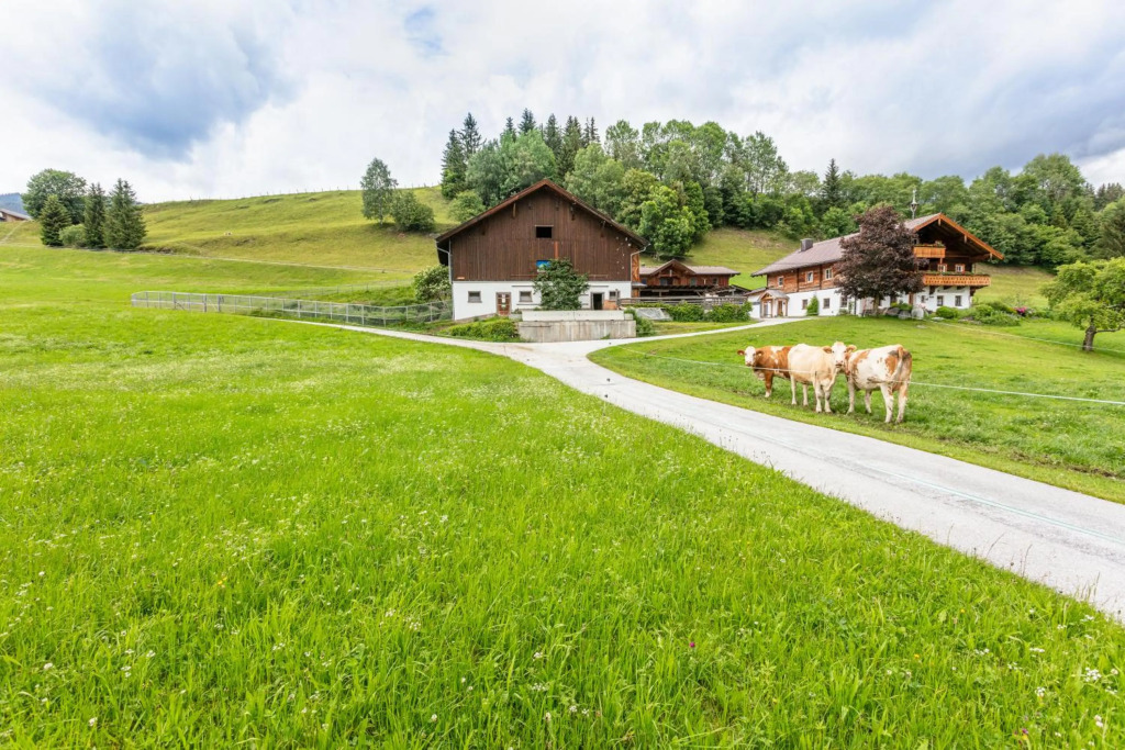Ferienhaus Widholzhof