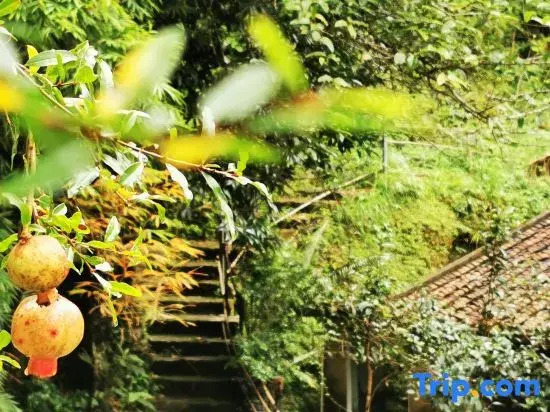 Sanjing Shanju Guesthouse