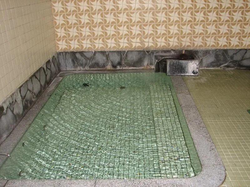 Sagaeya Ryokan