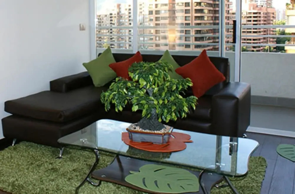Aparthotel Braman