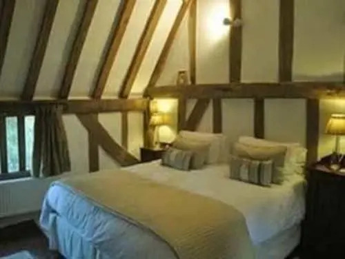 Holly Tree House