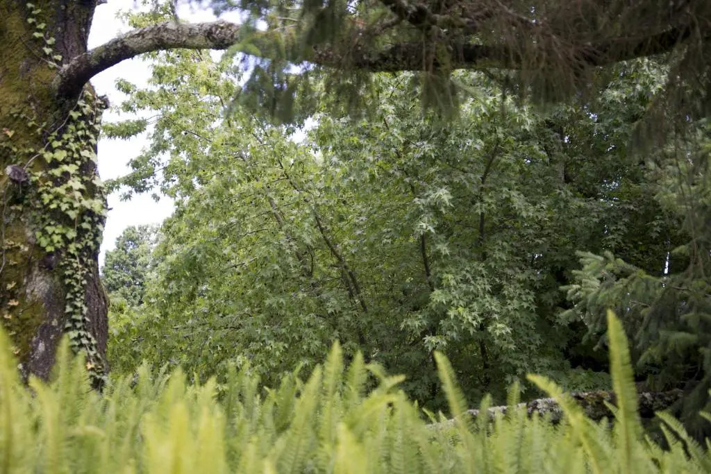 Quinta de Valverde