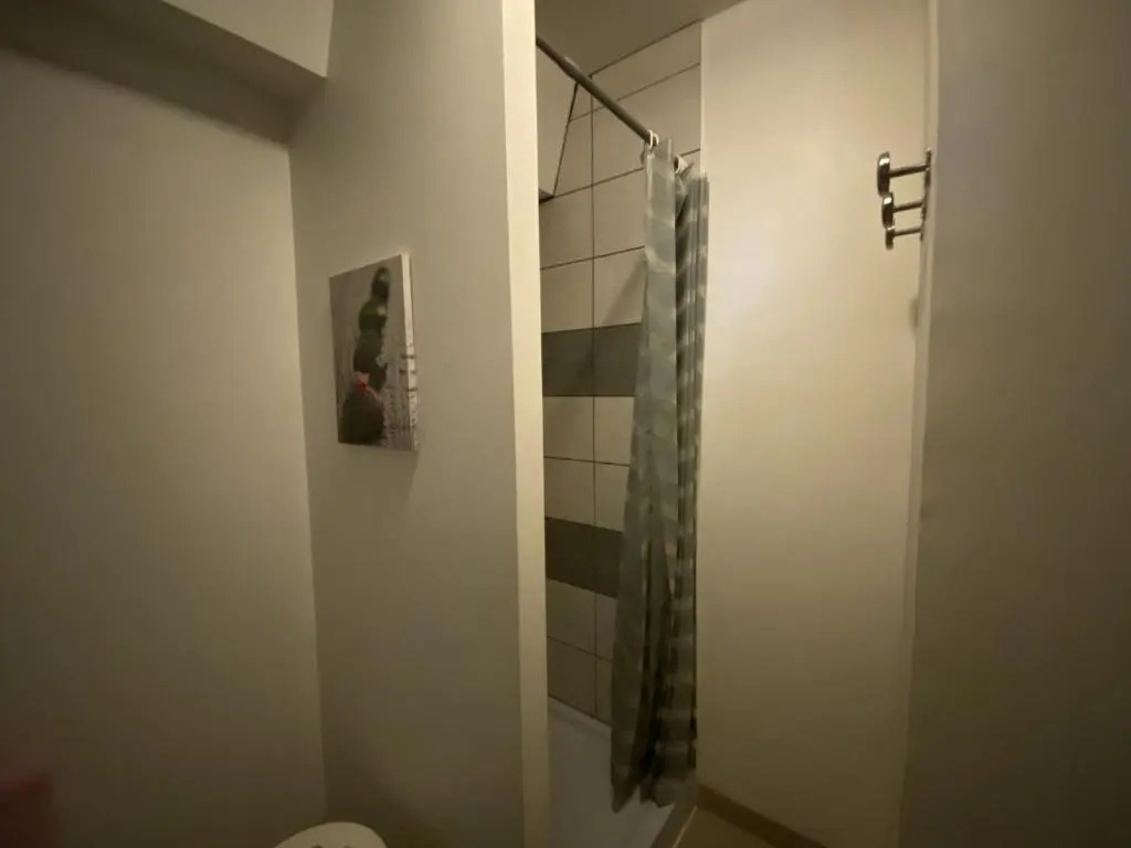 Appartement La Roche-Posay, 2 pièces, 4 personnes - FR-1-541-78
